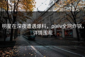 明星在深夜遭遇爆料，pixiv全网炸锅，详情围观
