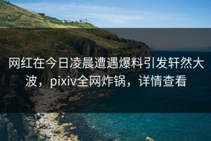 网红在今日凌晨遭遇爆料引发轩然大波，pixiv全网炸锅，详情查看