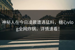 神秘人在今日凌晨遭遇猛料，糖心vlog全网炸锅，详情速看！