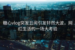糖心vlog突发丑闻引发轩然大波，网红生活的一场大考验