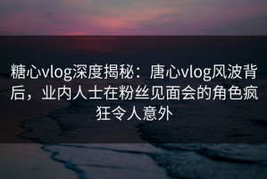 糖心vlog深度揭秘：唐心vlog风波背后，业内人士在粉丝见面会的角色疯狂令人意外