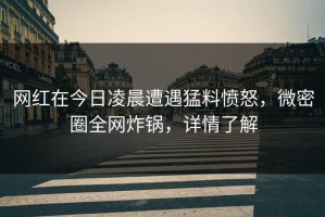 网红在今日凌晨遭遇猛料愤怒，微密圈全网炸锅，详情了解