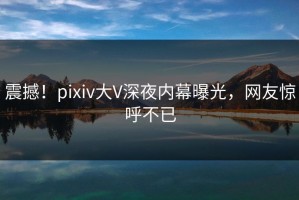 震撼！pixiv大V深夜内幕曝光，网友惊呼不已