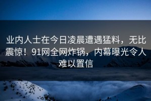 业内人士在今日凌晨遭遇猛料，无比震惊！91网全网炸锅，内幕曝光令人难以置信