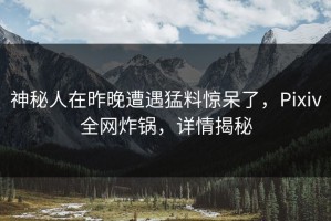 神秘人在昨晚遭遇猛料惊呆了，Pixiv全网炸锅，详情揭秘