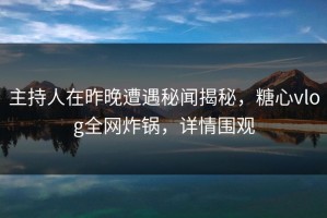 主持人在昨晚遭遇秘闻揭秘，糖心vlog全网炸锅，详情围观
