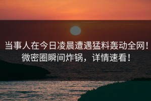 当事人在今日凌晨遭遇猛料轰动全网！微密圈瞬间炸锅，详情速看！