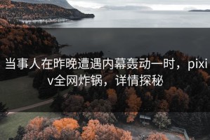 当事人在昨晚遭遇内幕轰动一时，pixiv全网炸锅，详情探秘