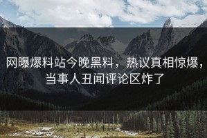 网曝爆料站今晚黑料，热议真相惊爆，当事人丑闻评论区炸了