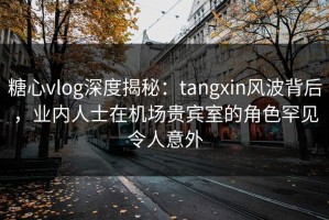 糖心vlog深度揭秘：tangxin风波背后，业内人士在机场贵宾室的角色罕见令人意外
