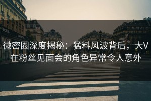 微密圈深度揭秘：猛料风波背后，大V在粉丝见面会的角色异常令人意外