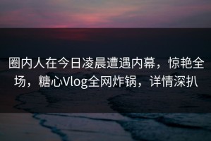 圈内人在今日凌晨遭遇内幕，惊艳全场，糖心Vlog全网炸锅，详情深扒