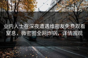 业内人士在深夜遭遇维密友免费观看窒息，微密圈全网炸锅，详情围观