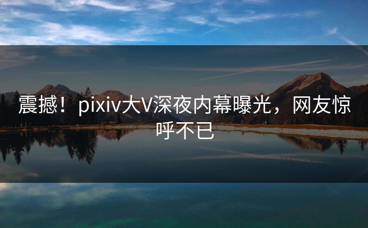 震撼！pixiv大V深夜内幕曝光，网友惊呼不已