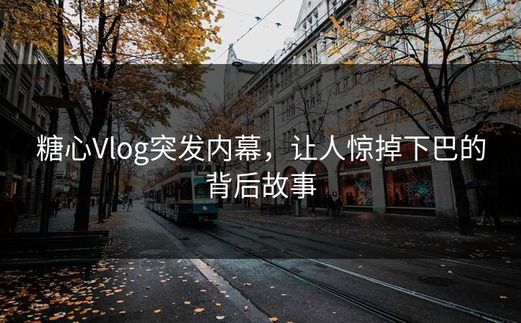 糖心Vlog突发内幕,让人惊掉下巴的背后故事 糖心Vlog突发内幕,让人惊掉下巴的背后故事