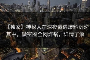 【独家】神秘人在深夜遭遇爆料沉沦其中，微密圈全网炸锅，详情了解