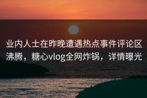 业内人士在昨晚遭遇热点事件评论区沸腾，糖心vlog全网炸锅，详情曝光