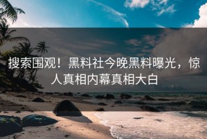 搜索围观！黑料社今晚黑料曝光，惊人真相内幕真相大白