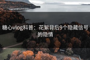 糖心vlog科普：花絮背后9个隐藏信号的隐情
