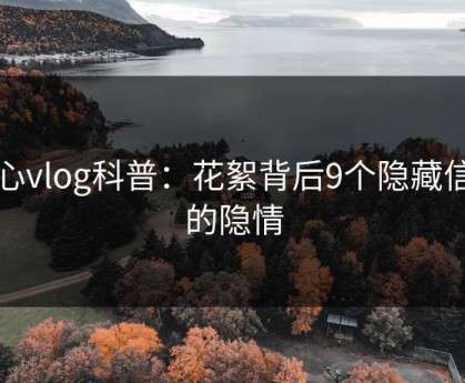 糖心vlog科普：花絮背后9个隐藏信号的隐情