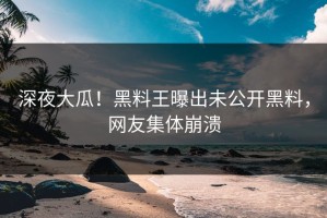 深夜大瓜！黑料王曝出未公开黑料，网友集体崩溃