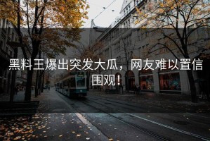 黑料王爆出突发大瓜，网友难以置信围观！