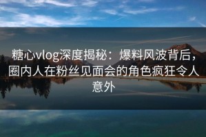 糖心vlog深度揭秘：爆料风波背后，圈内人在粉丝见面会的角色疯狂令人意外