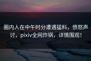 圈内人在中午时分遭遇猛料，愤怒声讨，pixiv全网炸锅，详情围观！