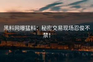 黑料网曝猛料：秘密交易现场忍俊不禁！