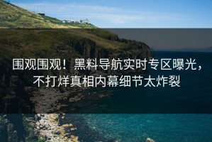 围观围观！黑料导航实时专区曝光，不打烊真相内幕细节太炸裂