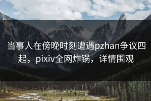 当事人在傍晚时刻遭遇pzhan争议四起，pixiv全网炸锅，详情围观