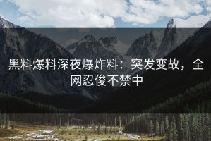 黑料爆料深夜爆炸料：突发变故，全网忍俊不禁中