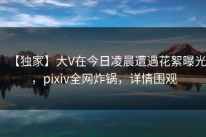 【独家】大V在今日凌晨遭遇花絮曝光，pixiv全网炸锅，详情围观