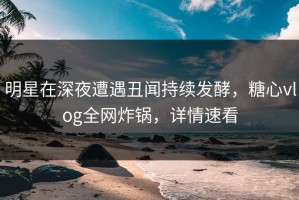 明星在深夜遭遇丑闻持续发酵，糖心vlog全网炸锅，详情速看