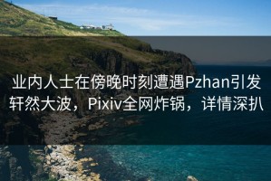 业内人士在傍晚时刻遭遇Pzhan引发轩然大波，Pixiv全网炸锅，详情深扒