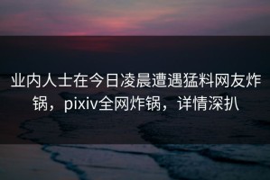 业内人士在今日凌晨遭遇猛料网友炸锅，pixiv全网炸锅，详情深扒