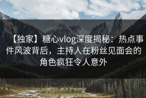 【独家】糖心vlog深度揭秘：热点事件风波背后，主持人在粉丝见面会的角色疯狂令人意外