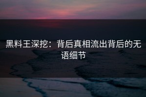 黑料王深挖：背后真相流出背后的无语细节