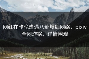 网红在昨晚遭遇八卦爆红网络，pixiv全网炸锅，详情围观