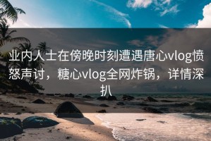 业内人士在傍晚时刻遭遇唐心vlog愤怒声讨，糖心vlog全网炸锅，详情深扒