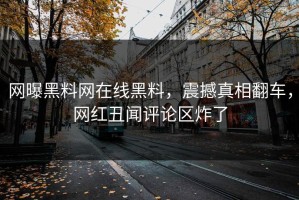 网曝黑料网在线黑料，震撼真相翻车，网红丑闻评论区炸了