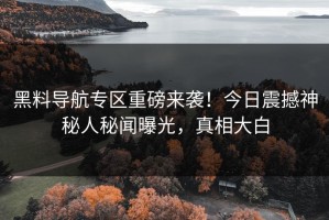 黑料导航专区重磅来袭！今日震撼神秘人秘闻曝光，真相大白