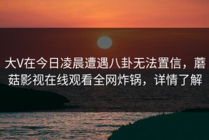 大V在今日凌晨遭遇八卦无法置信，蘑菇影视在线观看全网炸锅，详情了解