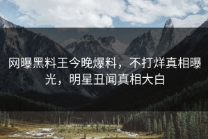 网曝黑料王今晚爆料，不打烊真相曝光，明星丑闻真相大白