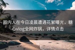 圈内人在今日凌晨遭遇花絮曝光，糖心vlog全网炸锅，详情点击