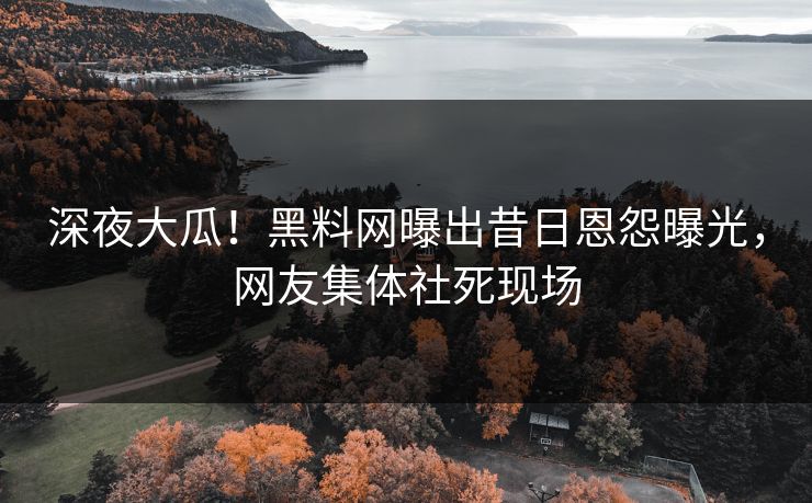 深夜大瓜！黑料网曝出昔日恩怨曝光，网友集体社死现场