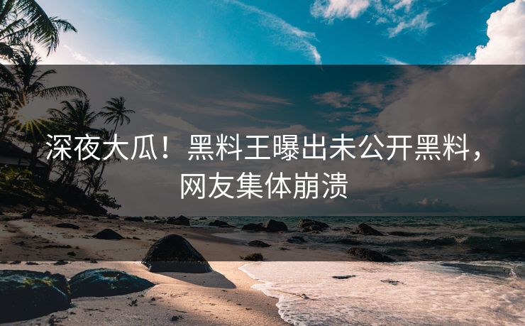 深夜大瓜！黑料王曝出未公开黑料，网友集体崩溃