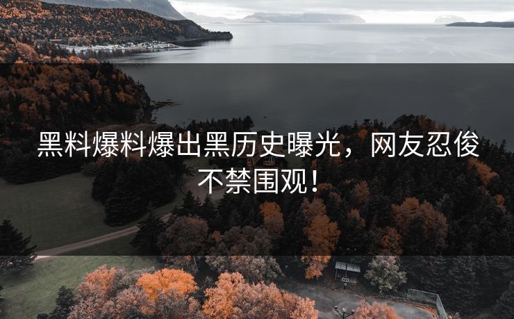 黑料爆料爆出黑历史曝光，网友忍俊不禁围观！