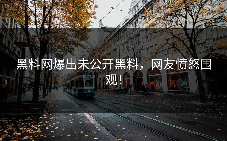 黑料网爆出未公开黑料，网友愤怒围观！