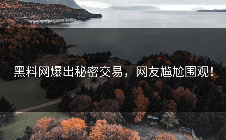 黑料网爆出秘密交易，网友尴尬围观！